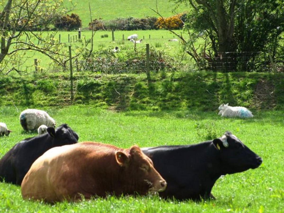 Wonderful Setting Farmhouse Apartment Wicklow Bagian luar foto